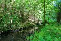 Springtime in Monaghan 2013 (22)